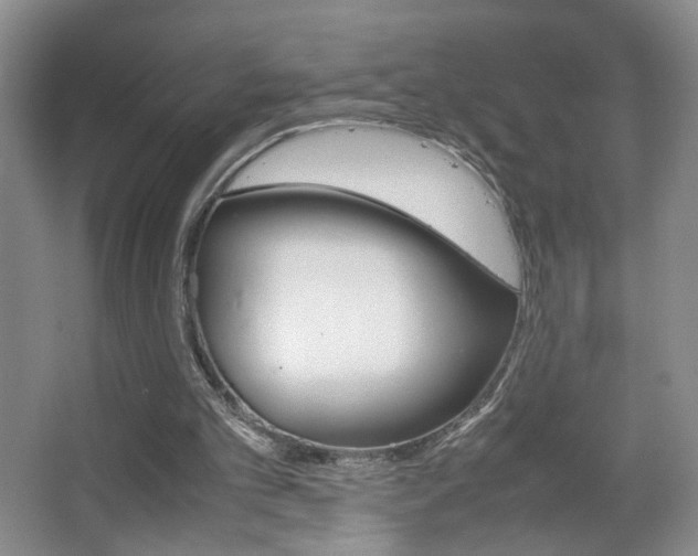 X0000067830101200604130929