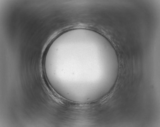 X0000067830102200604130929