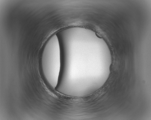 X0000067830106200604130929