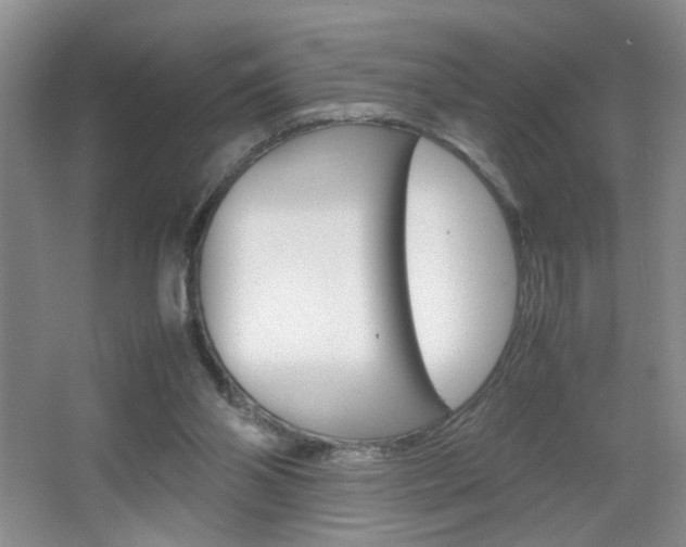X0000067830110200604130929