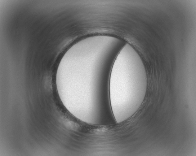 X0000067830112200604130929
