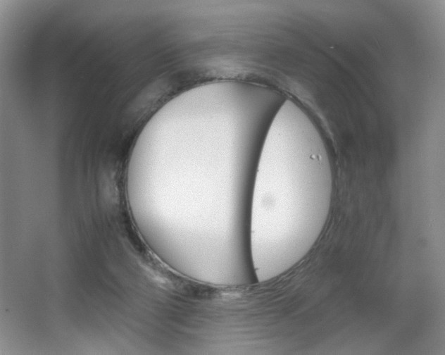 X0000067830114200604130929