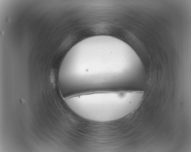 X0000067830124200604130928