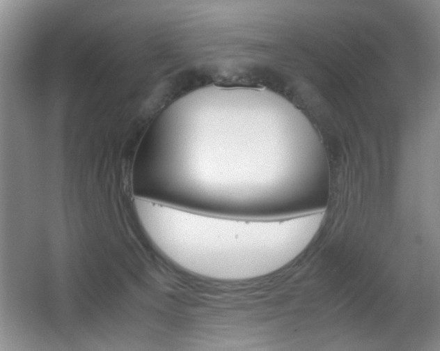 X0000067830129200604130928