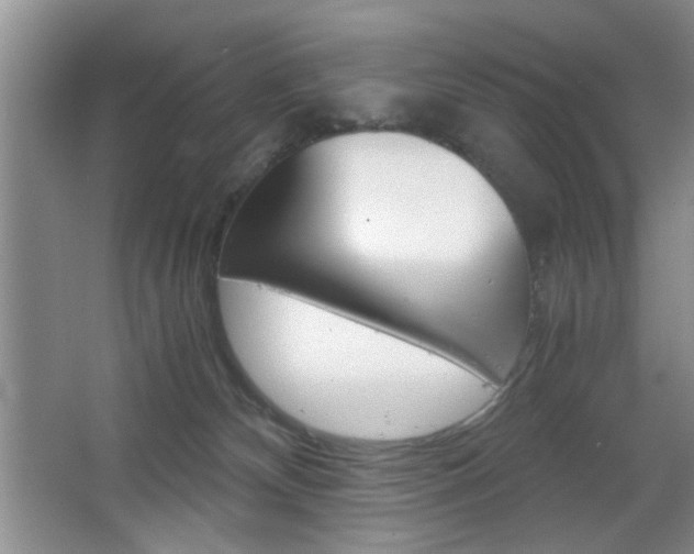 X0000067830132200604130928