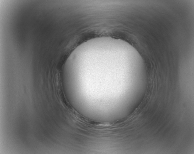 X0000067830133200604130928