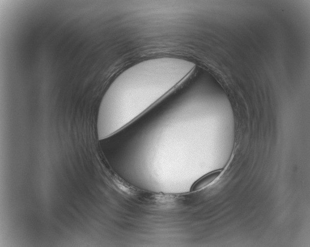 X0000067830144200604130928