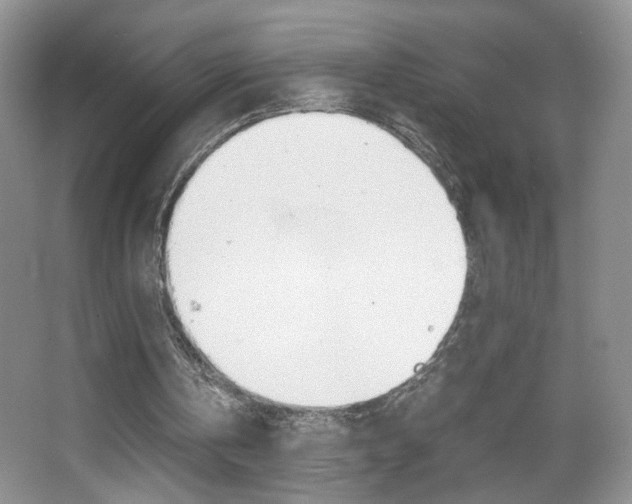 X0000067830146200604130927
