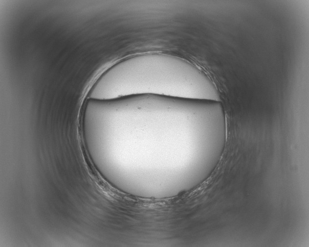 X0000067830147200604130927