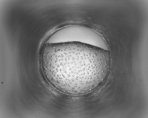 X0000067830149200604130927