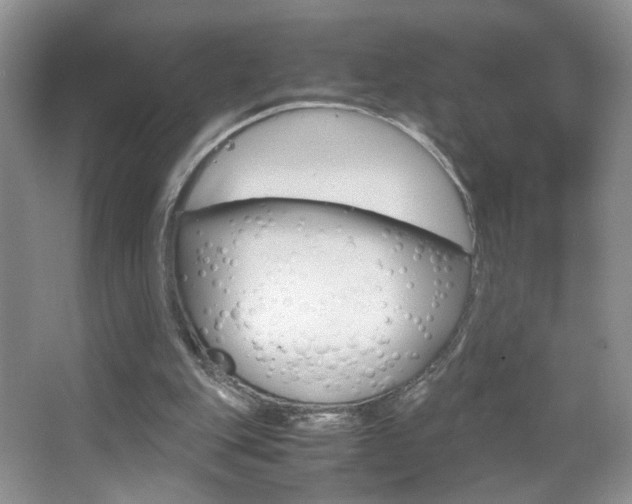 X0000067830151200604130927