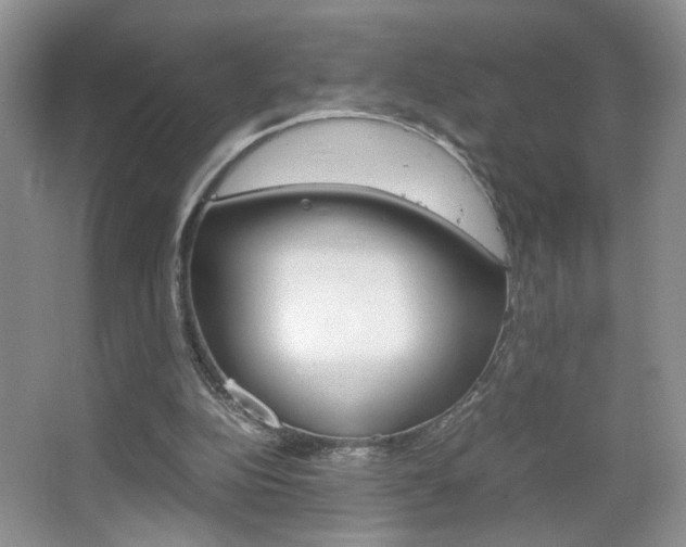 X0000067830152200604130927