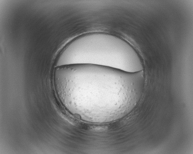 X0000067830155200604130927
