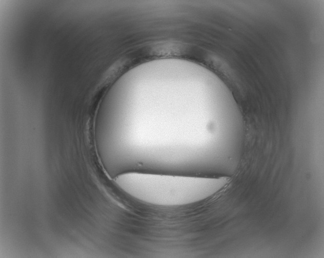 X0000067830163200604130928