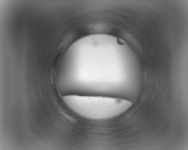 X0000067830165200604130928