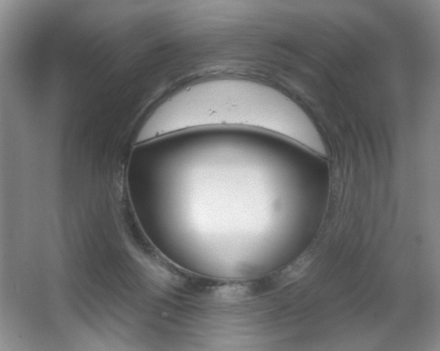 X0000067830168200604130928
