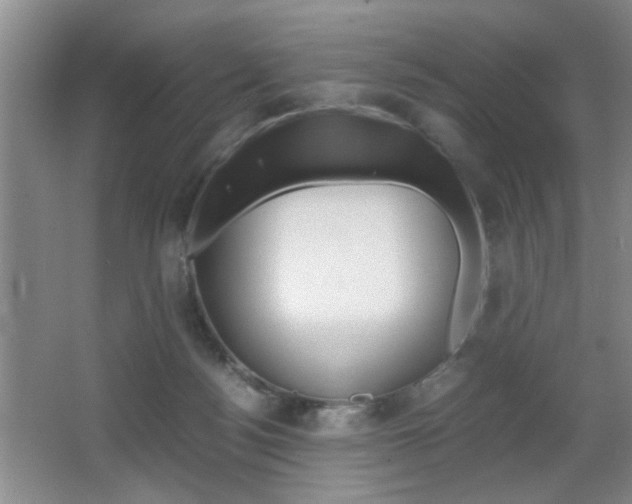 X0000067830172200604130928