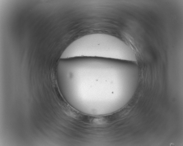 X0000067830173200604130928