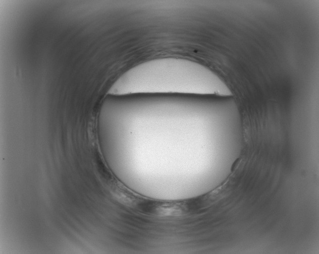 X0000067830175200604130928