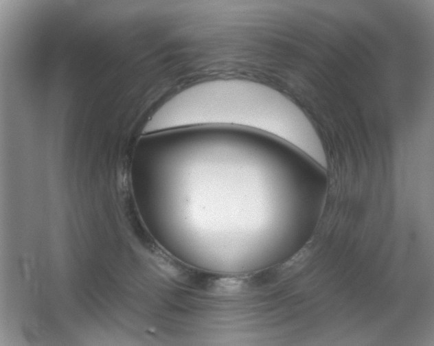 X0000067830176200604130928