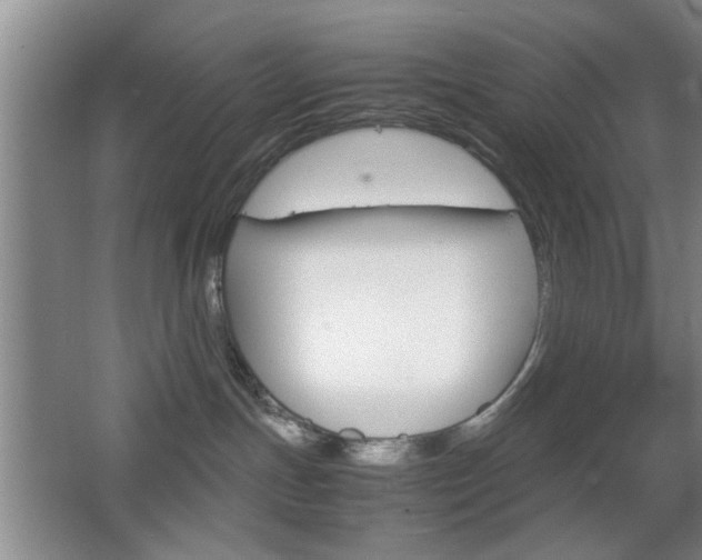 X0000067830191200604130928