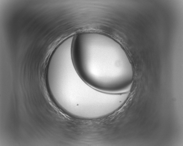 X0000067830193200604130927