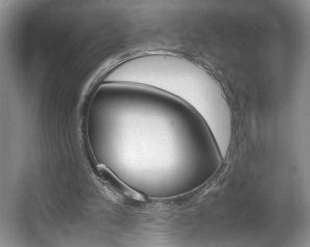 X0000067830197200604130927