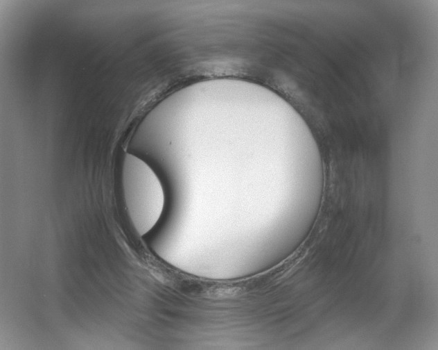 X0000067830202200604130927