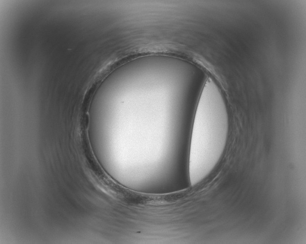 X0000067830203200604130927