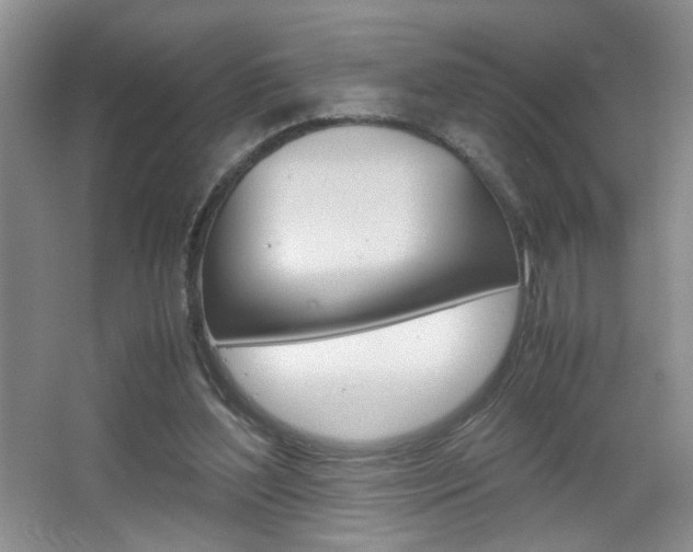 X0000067830204200604130927
