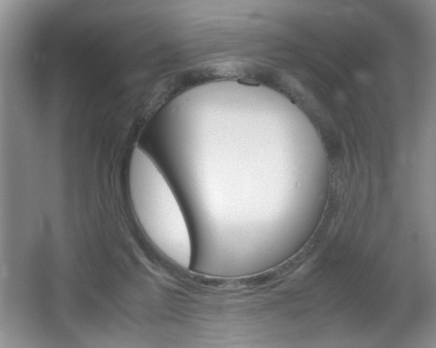 X0000067830213200604130927