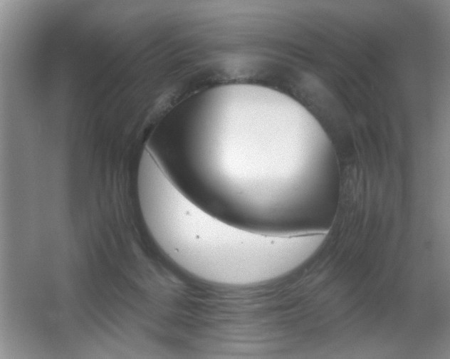 X0000067830220200604130927
