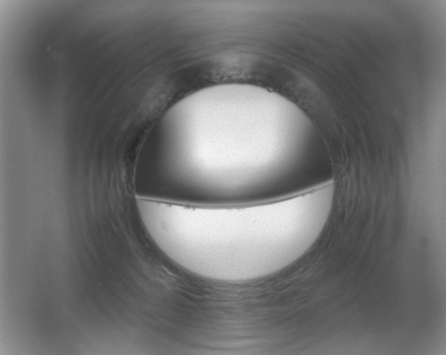 X0000067830224200604130927