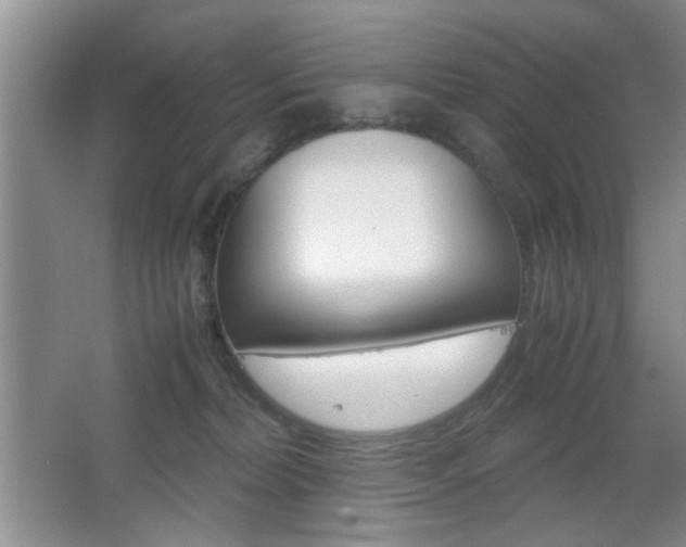 X0000067830228200604130927