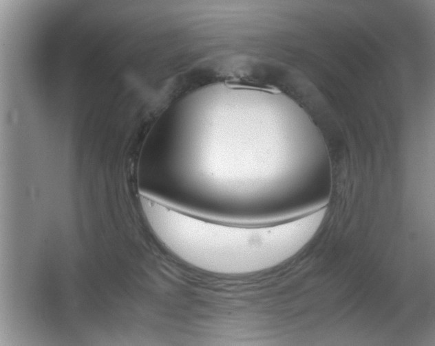 X0000067830229200604130927