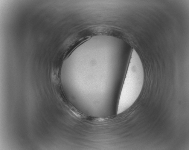 X0000067830239200604130926
