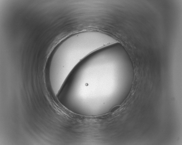 X0000067830242200604130926