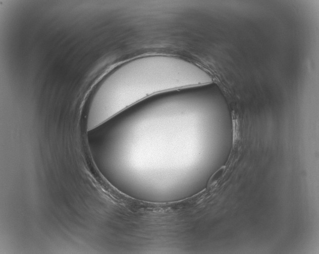 X0000067830243200604130926