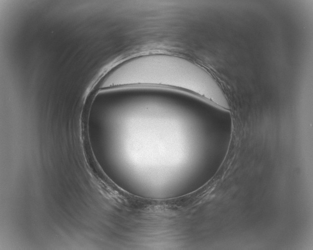 X0000067830244200604130926