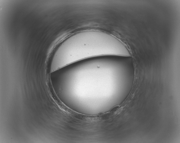 X0000067830245200604130926