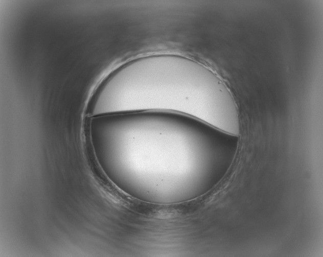 X0000067830248200604130926