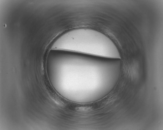 X0000067830251200604130926