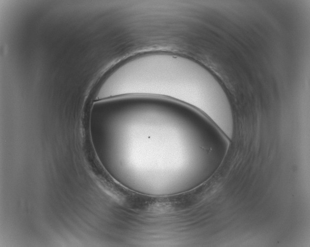 X0000067830252200604130926