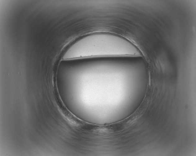 X0000067830253200604130926