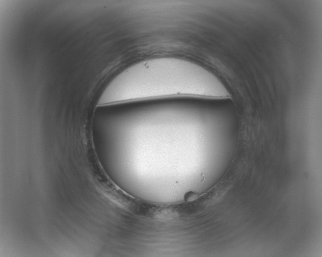 X0000067830258200604130926