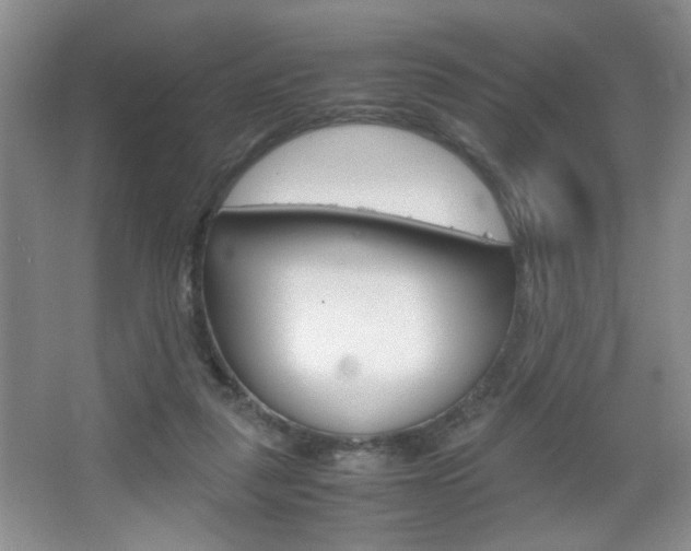 X0000067830259200604130926