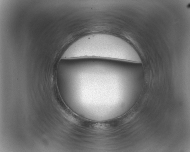 X0000067830261200604130926
