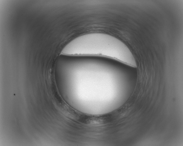 X0000067830263200604130926