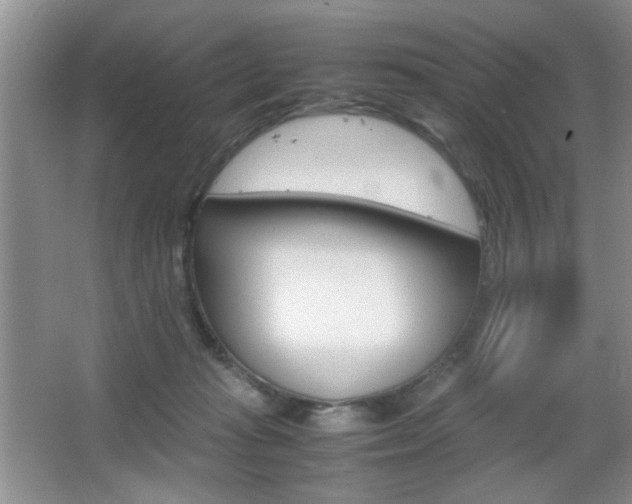 X0000067830269200604130926