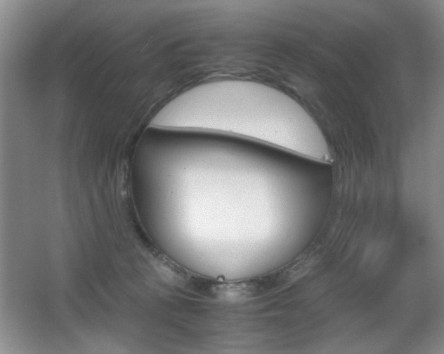X0000067830273200604130926